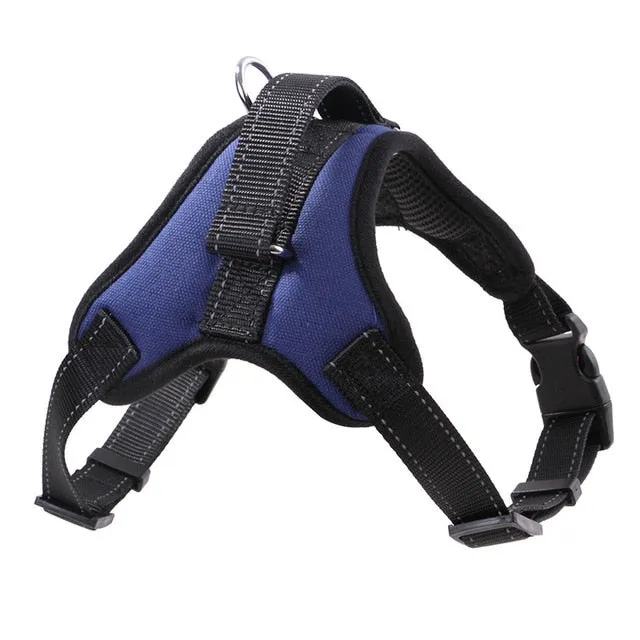 Durable Harness (No Pull)