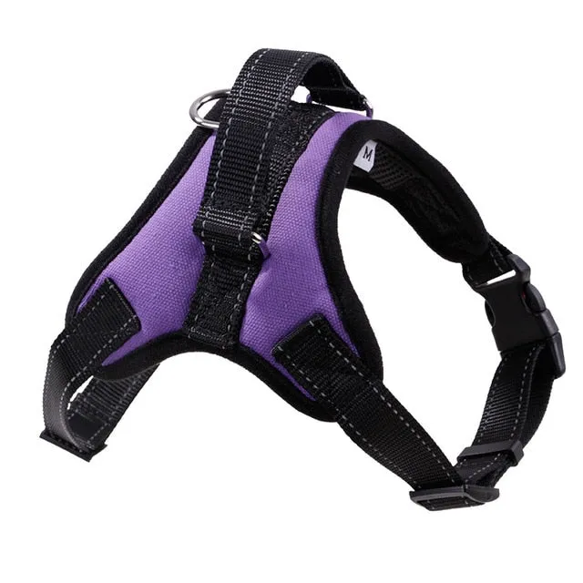 Durable Harness (No Pull)