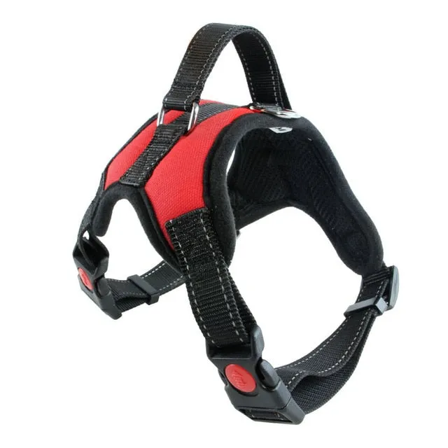 Durable Harness (No Pull)