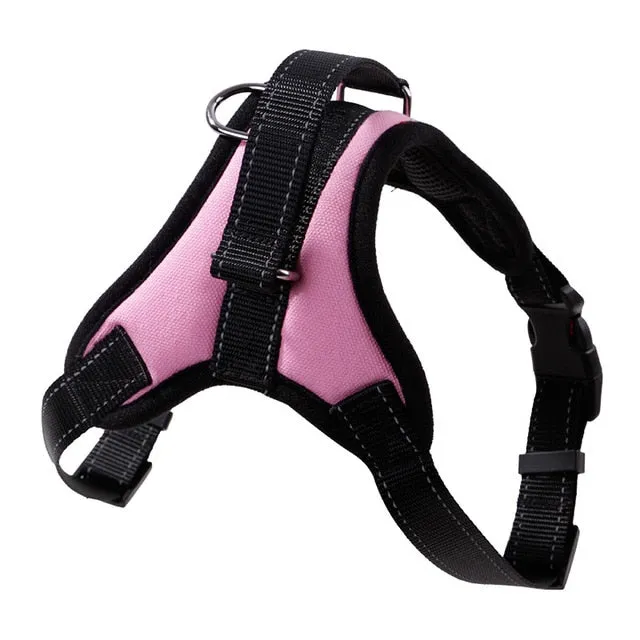 Durable Harness (No Pull)