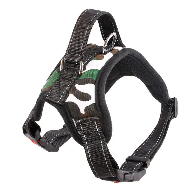 Durable Harness (No Pull)