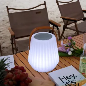 Modern Waterproof Portable Basket Bluetooth Audio PE USB Outdoor Light