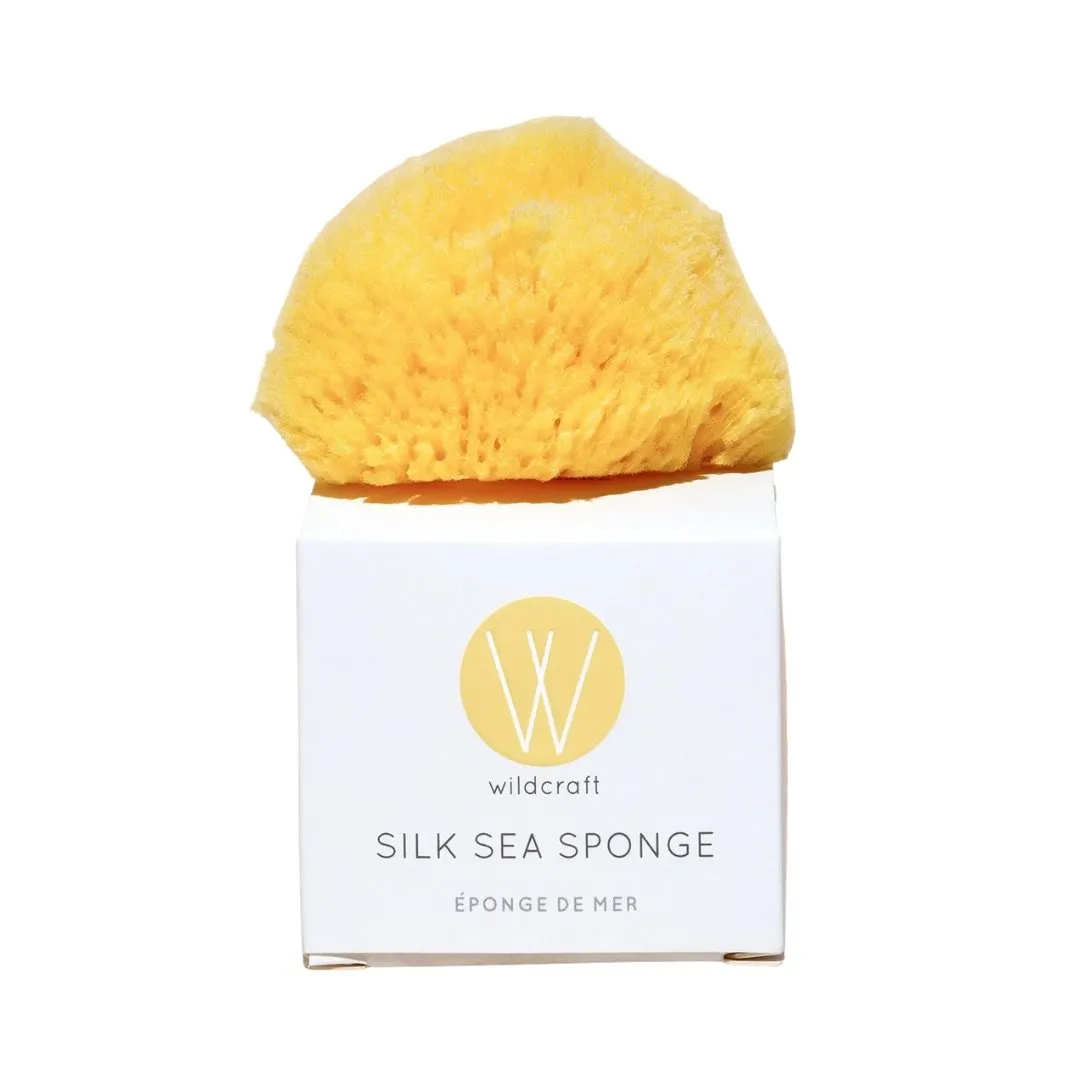 Silk Sea Sponge